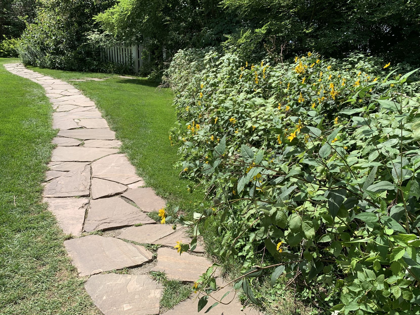 Lake path